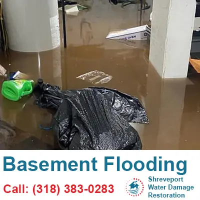 Basement Flooding
