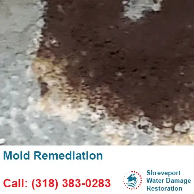 Mold Inspections, Testing, and Remediation Shreveport, LA