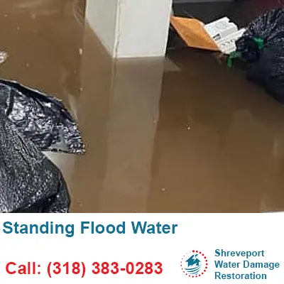 Standing Flood Water